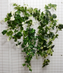 007 Veštaćke lozice